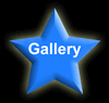 Gallery Button